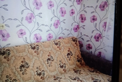 Сдается квартира на сутки.Предоставление отчётных